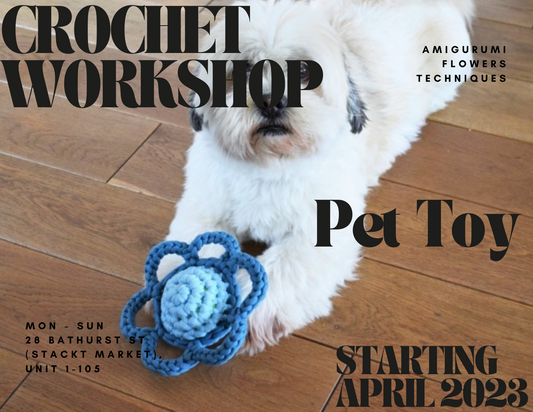Workshop: Pet Toys